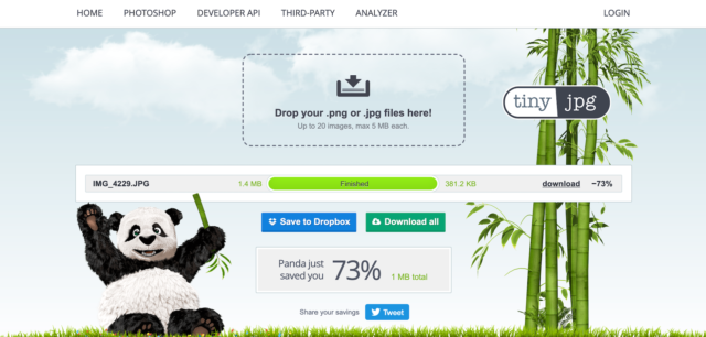 TinyJPG - Image File Reducer