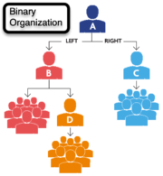 Binary Organization