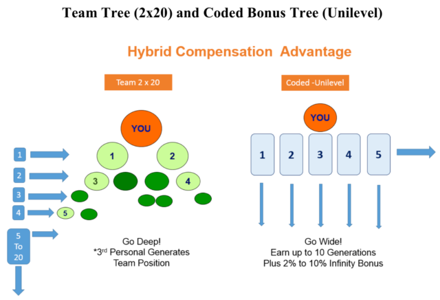 Team Tree 2x20 and Coded Bonus Tree which is Unilevel