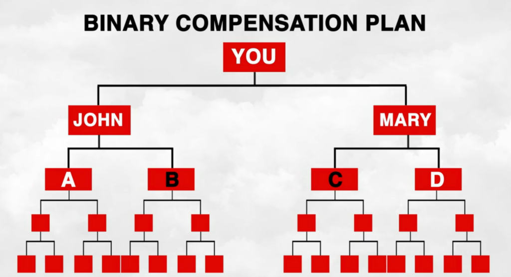 MLM Binary Model