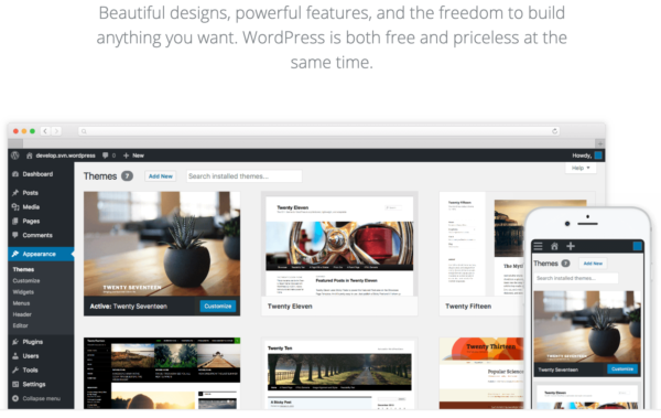 WordPress professional designs