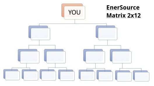 EnerSource's Force Matrix layout of their 2x12 structure